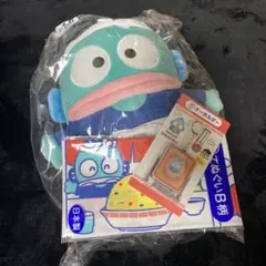 【本日限り‼️】ハンギョドン 1番くじ ぬいぐるみ おまけ付き