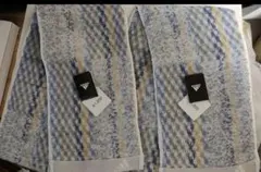 Item thumbnail for item e0bf0c1c-2b81-464a-b58d-5ff600f1850a