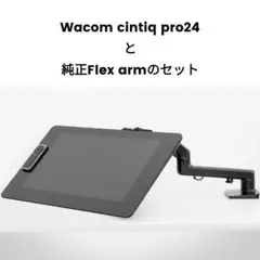 Wacom Cintiq Pro 24 + 純正 Flex Armセット 2026年最新】Wacom flex armの人気アイテム - メルカリ