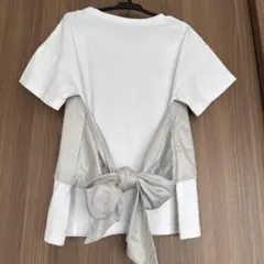 Item thumbnail for item fdc669fb-2d98-4e12-aa2e-f389b0aee3e0