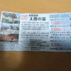 有馬温泉 太閤の湯 入館クーポン券