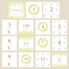 Item thumbnail for item 8a8d9d87-c0b1-4b99-82f7-1593489b176f