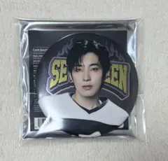 SEVENTEEN セブチ HOME ウォヌ 缶バッジ