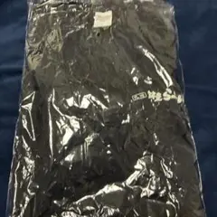 Item thumbnail for item 918f403d-abb8-48fd-9915-843617409b76