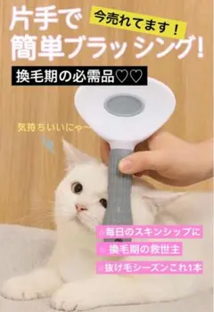 Item thumbnail for item af719c25-0752-4228-96e7-d8e0feb46bcd