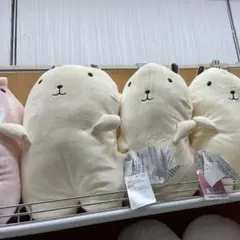 Item thumbnail for item a7ca1a81-0837-4095-8302-4c2b80998417