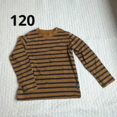 キッズ　ボーダーロンT120 西松屋