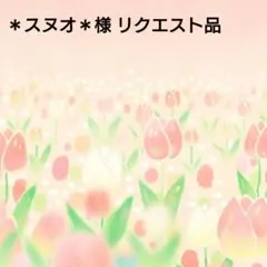 ＊スヌオ＊様 リクエスト 2点 まとめ商品