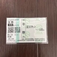 2026年 10月25日 菊花賞 現地馬券 ロブチェン 松山弘平 単勝