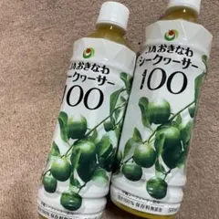 沖縄シークヮーサー100%500ml 12本セット賞味期限26.12.27 - メルカリ