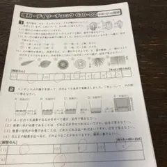 サピックス SAPIX 6年 理科 デイリーチェック テスト