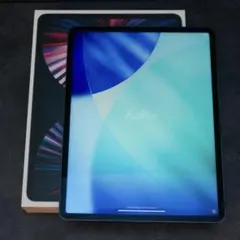 iPad Pro 第5世代 M1 12.9インチ Wi-Fi 256GB