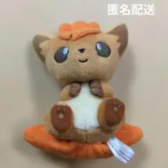 2026年最新】ロコンポンチョ ピカチュウ ぬいぐるみの人気アイテム