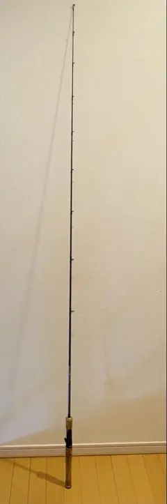 2025年最新】EVERGREEN ロッドの人気アイテム - メルカリ