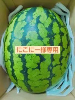 にこにー様専用