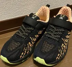 Item thumbnail for item 0e61a0f0-58c4-4b9a-b052-fbbed753ecb0