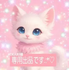 HIKARI様 リクエスト 2点 まとめ商品