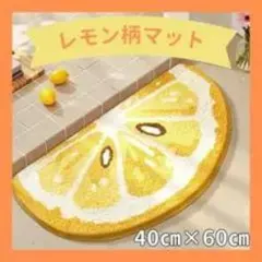 레몬 패턴 매트 40cm x 60cm 반원형