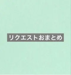 花嵐ちゃん様 リクエスト 5点 まとめ商品