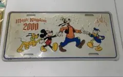 ディズニーランド　プレート　2000 マジックキングダム　フロリダ　インテリア