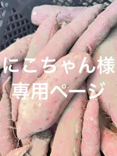 にこちゃん様専用ページです。