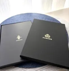 Item thumbnail for item d5576878-a485-4e1c-bd14-9a294a3a62ae