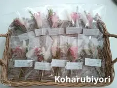 Item thumbnail for item cbb272d4-63a7-4479-b7cd-0ad7e1eb11f1