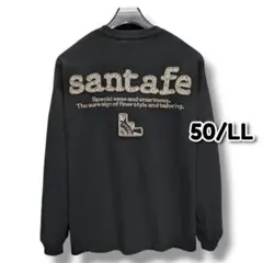 サンタフェ santafe アップリケ刺繍 パイソン柄 Tシャツ 52 q2 - メルカリ