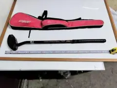 Item thumbnail for item dfc4f37b-2b95-4590-86ca-ab1768d24449