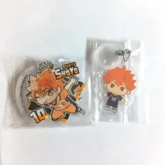 ハイキュー！！　ぴた！でふぉめ　めじるし　日向　日向翔陽　アクキー