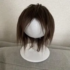 ９インチ　ウィッグ　スーパードルフィー　ボア