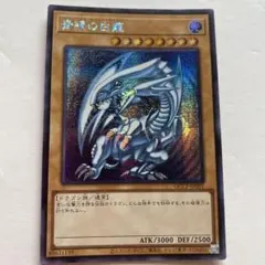 2026年最新】ブルーアイズホワイトドラゴン シクブルの人気アイテム