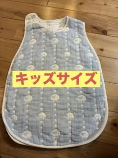 Item thumbnail for item 7dd186bb-1121-4884-b80a-e6a7cb4bacdf