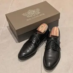 シェットランドフォックス 24.5