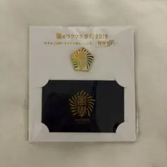 嵐 ワクワク学校2019 ピンバッジ