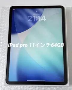 iPad pro 11インチ 第1世代 64GB Cellularモデル