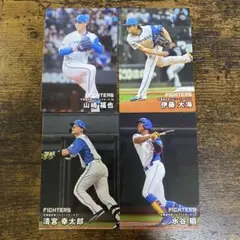 プロ野球チップス 2025 北海道日本ハムファイターズ