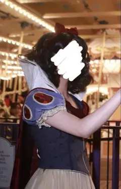 Dハロ仮装　白雪姫コスプレウィッグ 確認用、白雪姫、dハロ、ディズニー、白雪姫ウィッグの通販 by