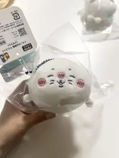 【新品未開封】ナガノキャラクターズ　ナガノの水族館マスコット（アザラシ）