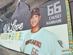 万波選手　FAV会員15000名限定配布「クールフードタオル」のサムネイル