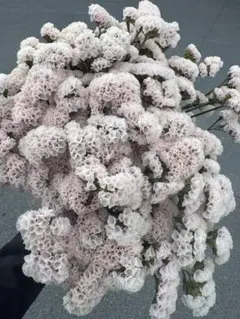 riisi様 リクエスト 2点 まとめ商品