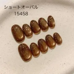 年始SALE No.505 ネイルチップ　フラッシュマグネットネイル　チョコ
