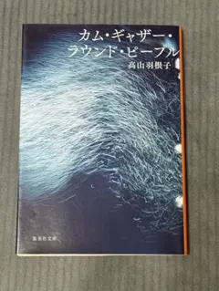 カム・ギャザー・ラウンド・ピープル 高山羽根子