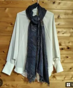 Item thumbnail for item 1296e93b-256c-484f-9e0b-a46bc7e4d431