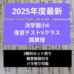 2026年最新】#復習テストVクラスの人気アイテム - メルカリ