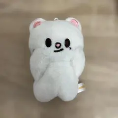 straykids スキズ ジニレット 10cm ぬいぐるみ バンザイ Stray Kids スキズ ジニレット 10cm ぬいぐるみ バンザイ - メルカリ