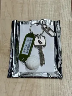 ハイキュー!! トレーディング高校名付き鍵チャームキーホルダー