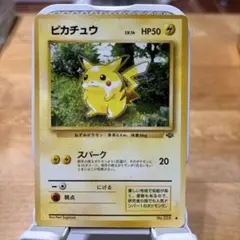 2025年最新】ジャングルピカチュウの人気アイテム - メルカリ