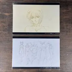 未開封 綾波レイ ポストカード 2枚 エヴァンゲリオン EVA