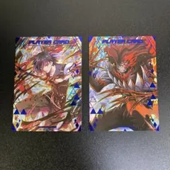 ロードオブヴァーミリオン プレイヤーカード (神名 千尋＆白木 優羽莉) Amazon.co.jp: ロードオブヴァーミリオン プレイヤーカード 神名